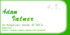 adam valner business card